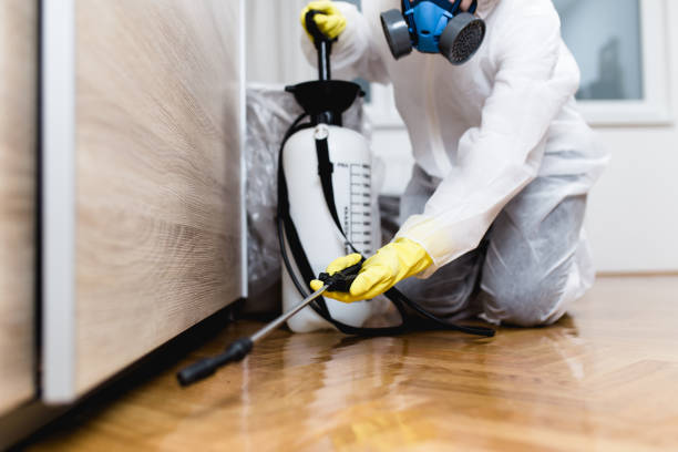 Best Pest Prevention Services  in Chatsworth, IL