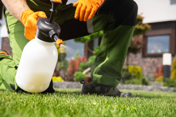 Best Flea Control Services  in Chatsworth, IL
