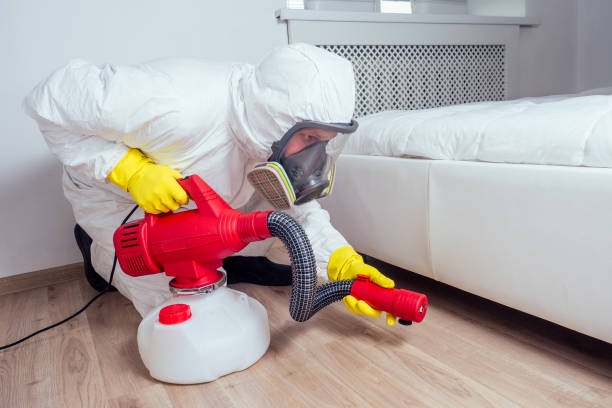 Best Wasp Removal Services  in Chatsworth, IL