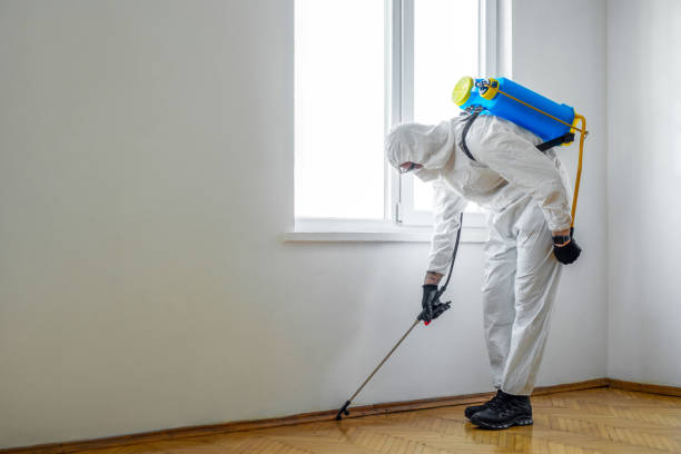 Best Exterminator Services  in Chatsworth, IL