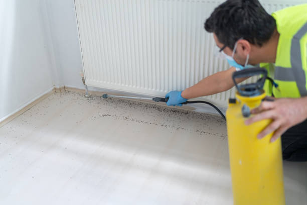 Best Pest Inspection Near Me  in Chatsworth, IL