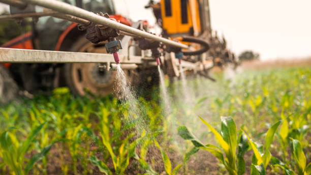 Best Residential Pest Control  in Chatsworth, IL